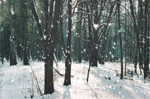 photo image_zpsbmgrljmo.gif