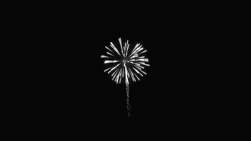 fireworks gif