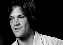 Source : From-the-moon SPNG Tags: Sam / Jared/ Sexually Suggestive / I swear, / Jared is made of this and sunshine / A special thanks to grandmas-dont-fall-like-paper for submitting this! Looking for a particular Supernatural reaction gif? This blog...