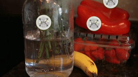 flowers- keep away from fruit