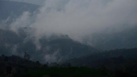  photo moving-fog-o_zpsj12fw1ur.gif