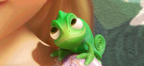 Image and video hosting by TinyPic