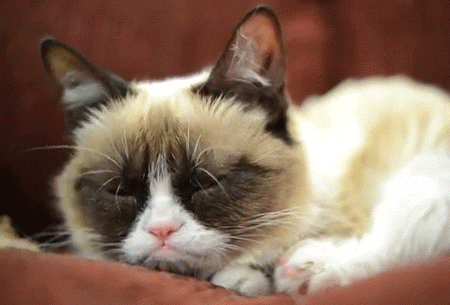 photo grumpy_zps7nl0al8u.gif