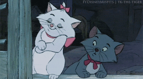 photo tumblr_n0k35wvrky1suwf50o1_500_zpszhsjkk8m.gif