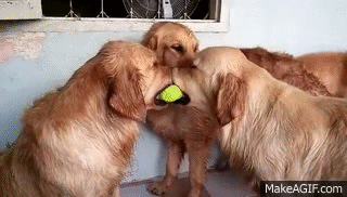  photo yugofwar1_zpsotzw1sym.gif