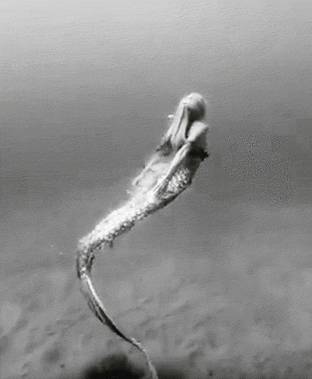 Image and video hosting by TinyPic