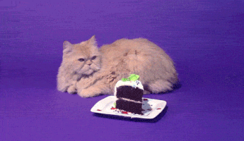 photo 200_d_zpsnyjiqr86.gif