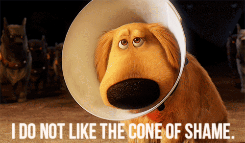 photo Dug-I-Do-Not-Like-The-Cone-of-Shame-Up-2009_zpstdxdjwb3.gif