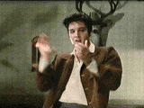 Elvis gif photo: Elvis gif elvis205.gif