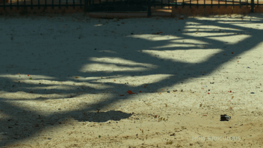 water-ball-splat-gif-11102016