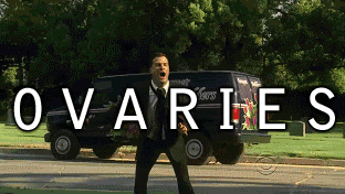 photo giphy_14.gif
