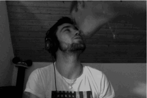 https://66.media.tumblr.com/4784470d212e02437a3b4008b1c8d2ff/tumblr_nuhlnzySxe1rawmqbo1_500.gif