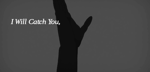 Afbeeldingsresultaat voor i will catch you if you fall + gif