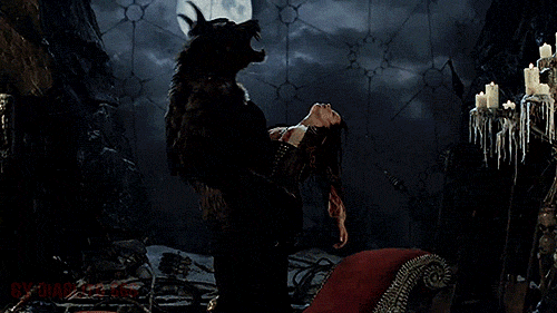 photo tumblr_o6psm3LU0J1rp0vkjo1_500_zps1mrhng3b.gif