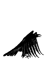 Image and video hosting by TinyPic