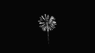 fireworks gif