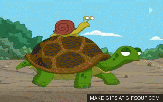 photo slow-down-o_zpskbyt0bsn.gif