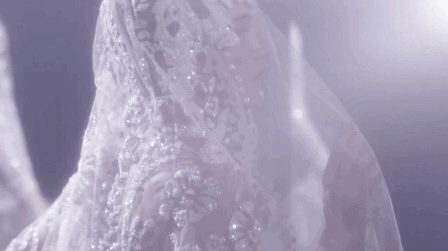 photo 21209511.gif