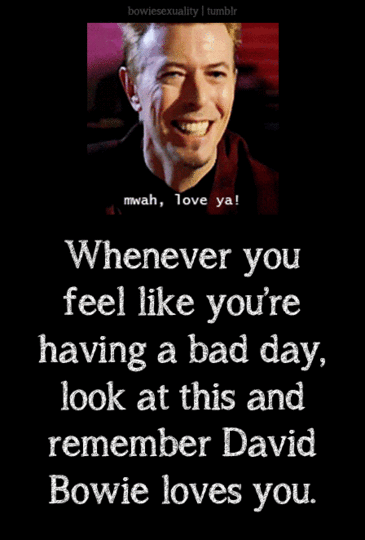Image result for david bowie police gif