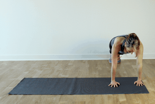 10_Lateral-Plank-Walk