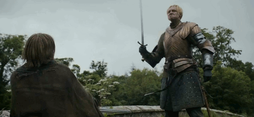 GAMES OF THRONES GIF SERIES - Sandor Clegane shut up about it