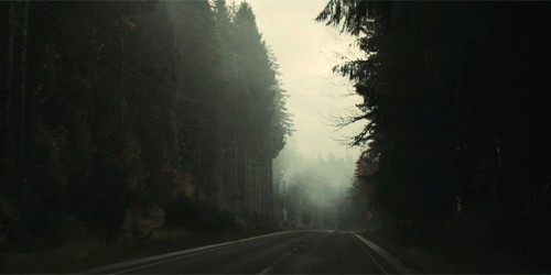 photo tumblr_oea0vvdecM1u7gnm9o1_500_zpssldqphvy.gif