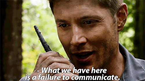 tumblr_okfncqrFR61urwlwbo3_500.gif (500×281)