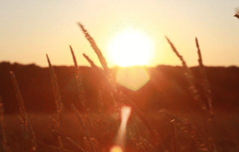 photo sunshine_zpspcqsion3.gif