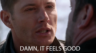 Damn-it-feels-good.gif (400×224)