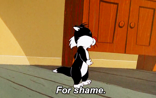 tumblr_mi1kgihynM1s5xsd0o1_500.gif (500×316)