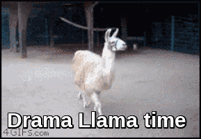 photo 148943492547147_zps5x55v4x2.gif
