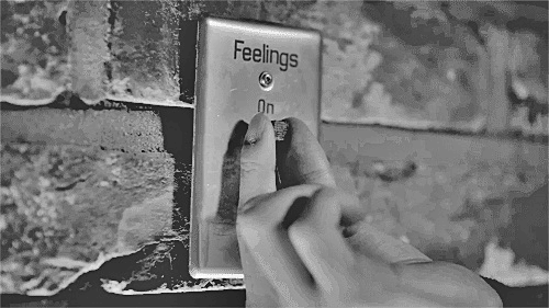 Image and video hosting by TinyPic