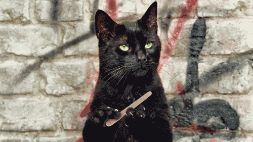 photo 2CADC49F-AEE9-4B1D-A791-CA3C21068F93_zps66kcq9md.gif