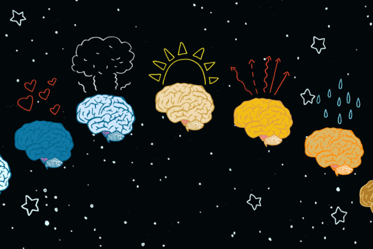 Hormones-Affect-Our-Brains-Health-Science-Data-Research-Ovary-Man-Repeller-Feature-GIF