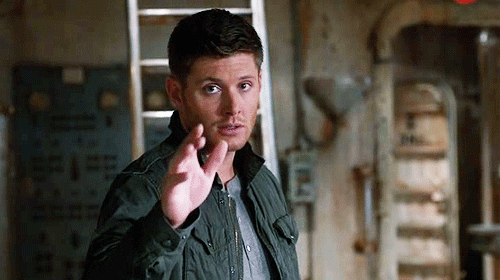 tumblr_inline_o0phx0O0sJ1tfamhd_500.gif (500×280)