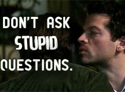 spncastieldontaskstupidquestions_zps215f6cd3.gif (245×180)