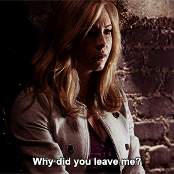 tumblr_lylk2tPbgj1qacbojo1_250.gif (245×245)