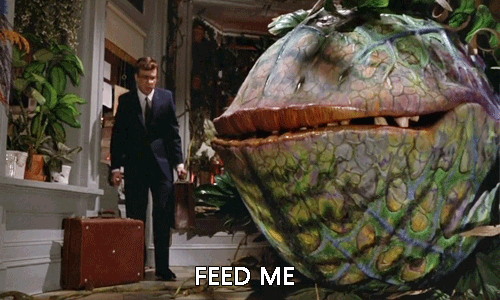 hungry hoppip hangry feed me little shop of horrors GIF
