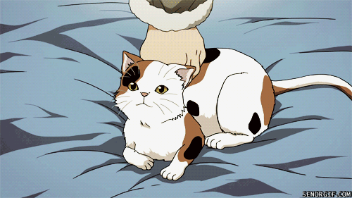 Image result for anime cats funny