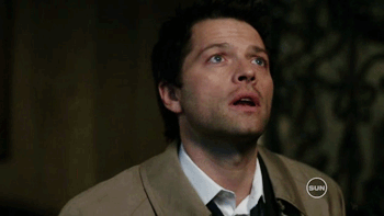 tumblr_nbzn32KBZ71tlda4ko1_400.gif (350×197)