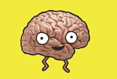 University Of California GIF - Find & Share on GIPHY