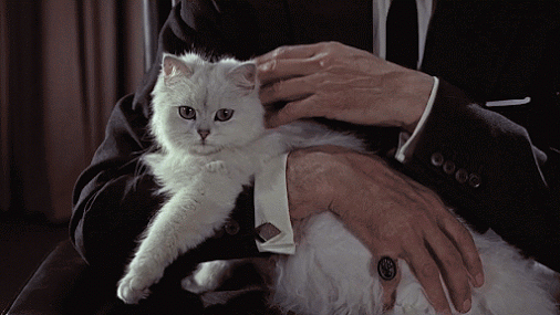 Bildergebnis für james bond white cat gif