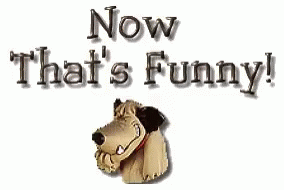 tenor.gif (284×190)