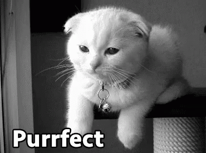  photo purrfect_zpsedumlj4i.gif