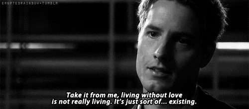 HauntingWellgroomedAmericanwigeon-max-1mb.gif (500×220)