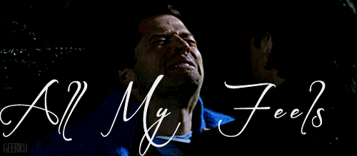 8422297.gif (500×219)