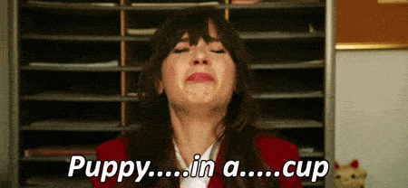 puppy-in-a-cup1.gif (450×208)