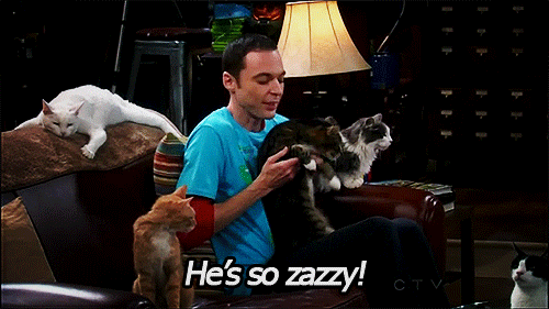 Image result for big bang theory gifs
