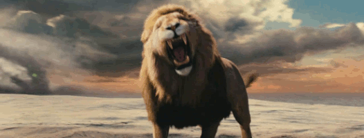 Image result for Aslan gif
