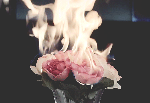 Image result for burning rose gif
